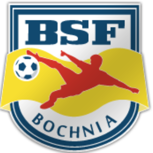 Herb klubu BSF Bochnia