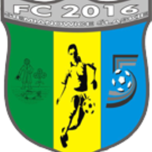 Herb klubu FC 2016 Siemianowice Śląskie