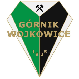 Herb klubu MKS GÓRNIK WOJKOWICE