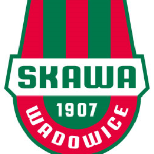 Herb klubu Skawa Wadowice