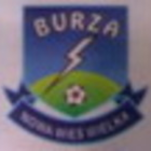 Herb klubu Burza Nowa Wieś W