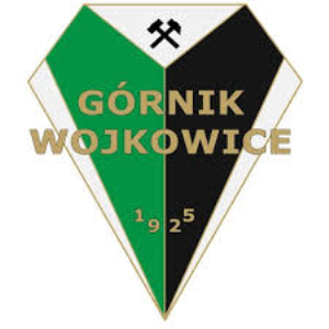 Herb klubu MKS Górnik Wojkowice 