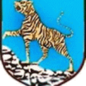 Herb klubu Tygrys Huta Mińska