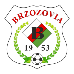 Herb klubu Brzozovia Brzozów