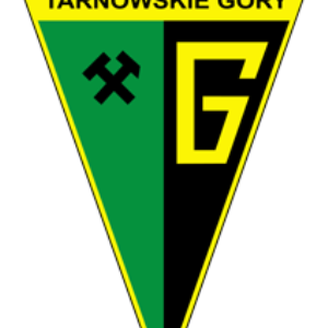 Herb klubu Gwarek Tarnowskie Góry